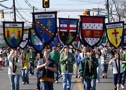 Ireland County Flags.